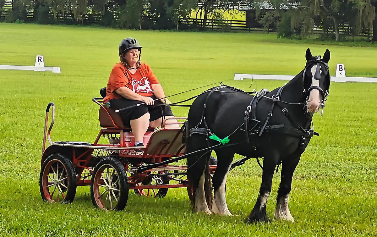 Horse-drawn carriage on trail