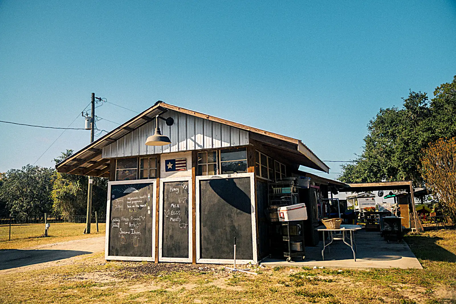 Kiddy Up Ranch staff and certified instructors with therapy horses
