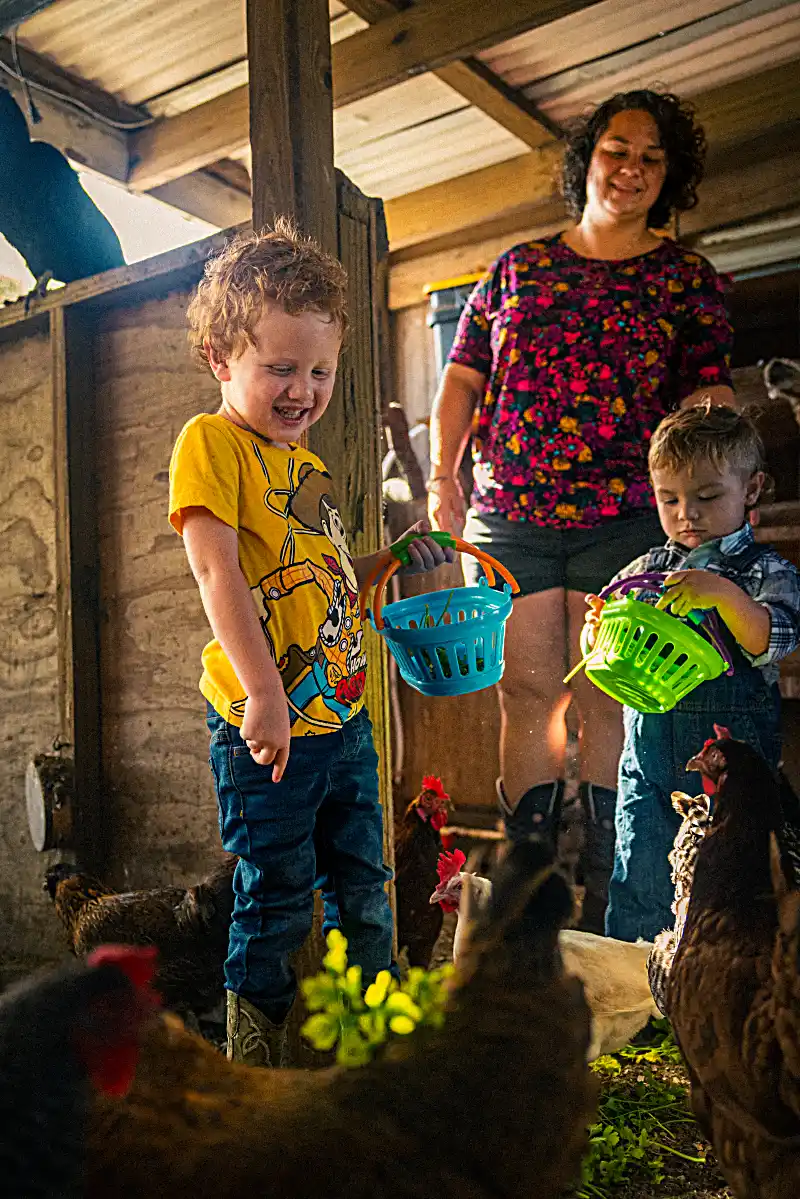 Volunteer helping with horses