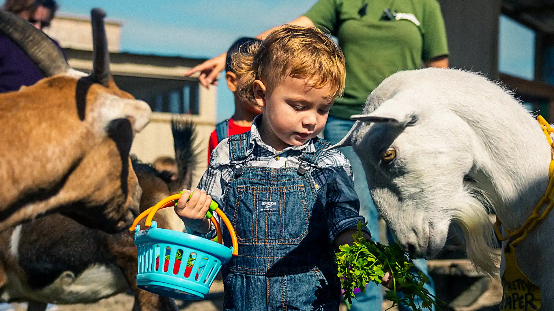 Students learning at Farmstead Micro School