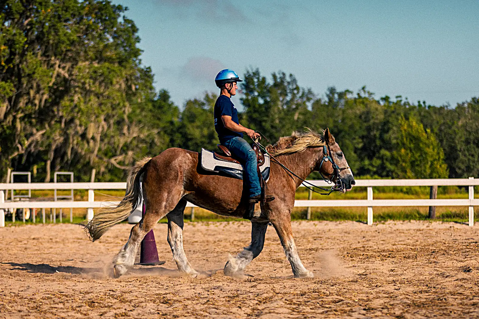 Military veteran bonding with therapy horse during Freedom Reins equine-assisted session