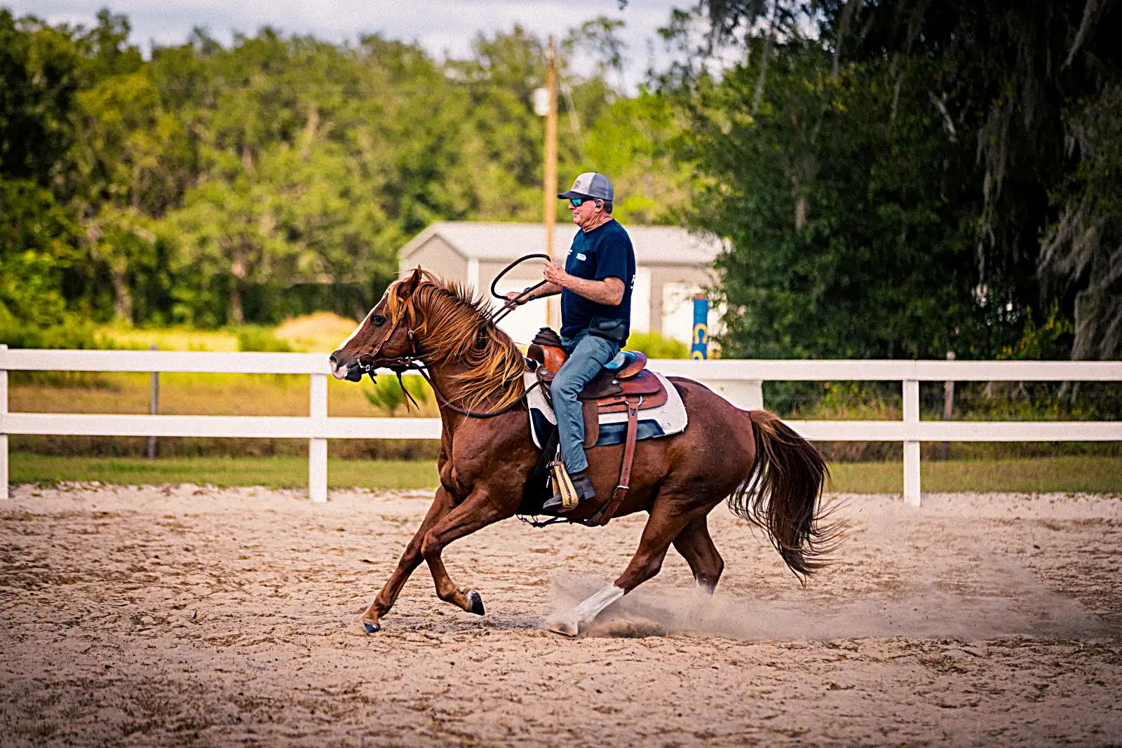 Horsemanship Academy training