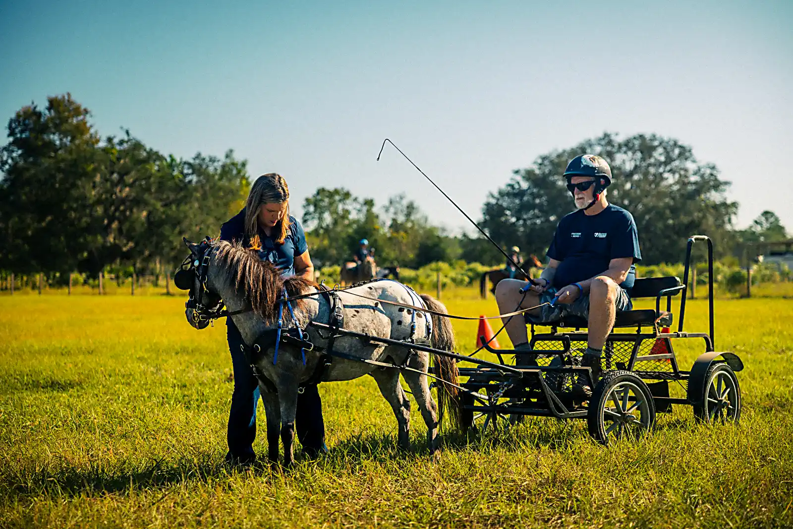 Carriage driving at Kiddy Up Ranch