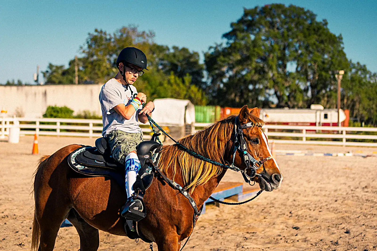 Student grooming horse