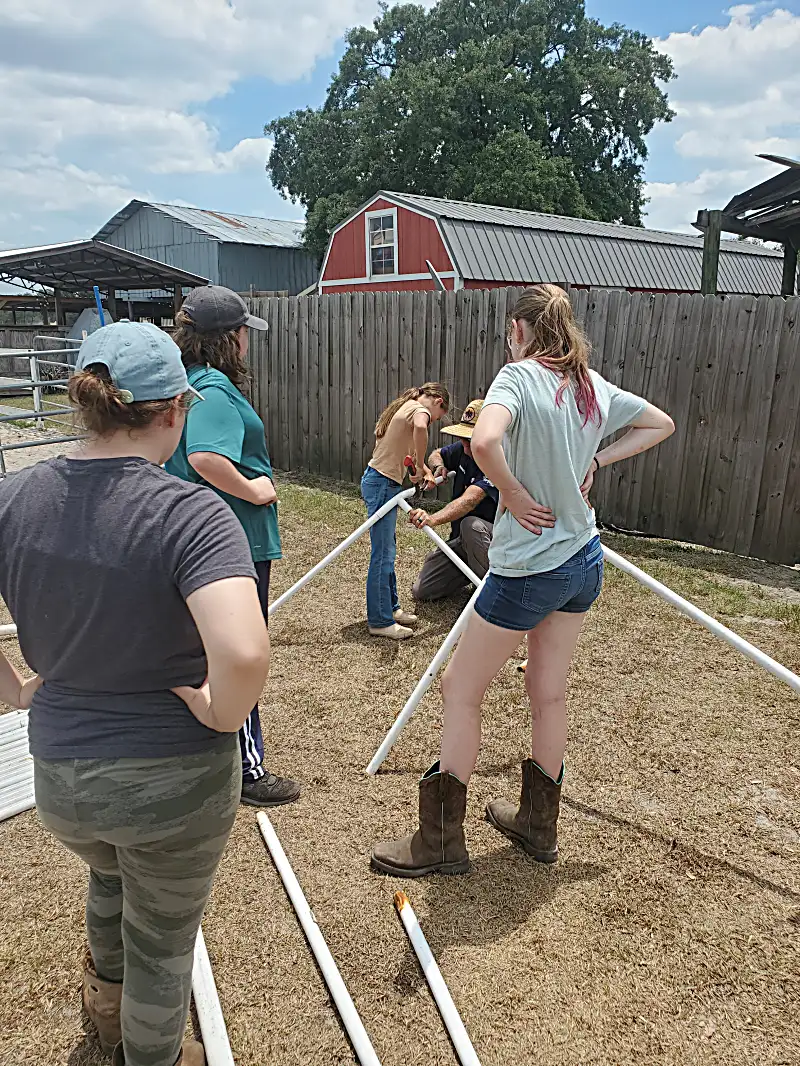 Children bonding with goats during animal care time
