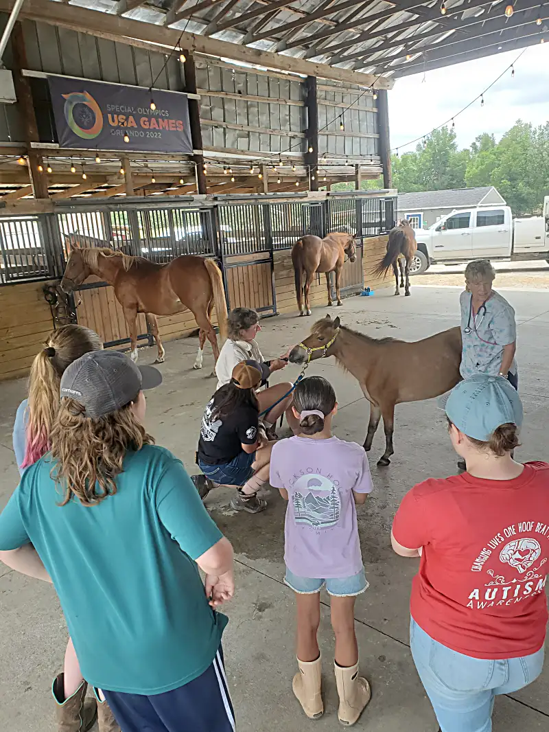 Students exploring the vegetable garden and learning about plant growth