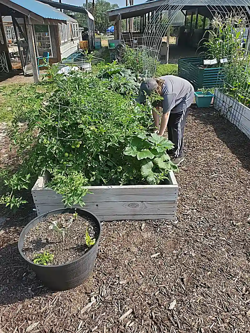 Morning circle time outdoors under the oak trees