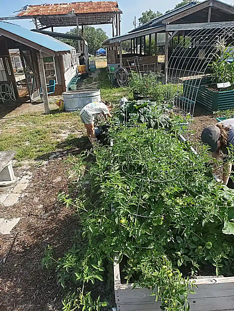 Young learners discovering nature through outdoor exploration