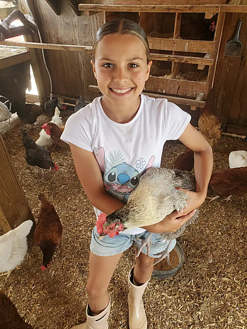 Afternoon enrichment activities with creative farm projects