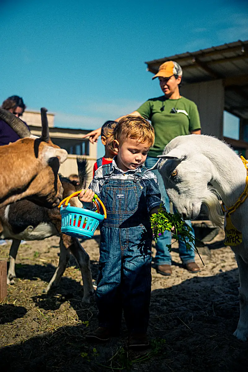 Joyful moments of learning and growth at Farmstead Micro School
